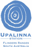 Upalinna station